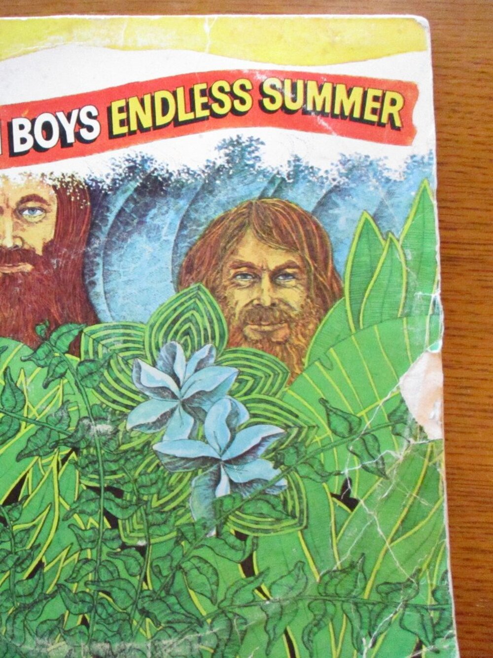 The Beach Boys, Endless Summer, vinyl record